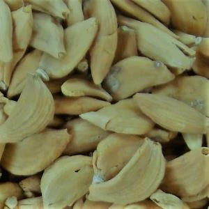 Jinxiang органічний часник виграв іншу премію