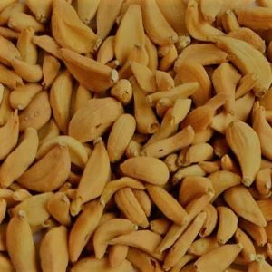 Смажена головка часнику